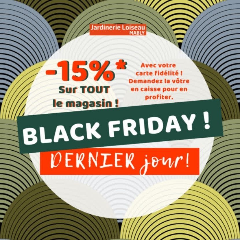 Black Friday : 4 jours de PROMOS ! 